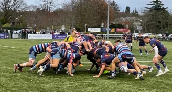 Derby Double Delight for Reeds