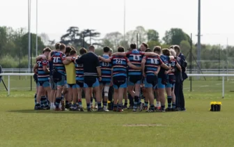 Reeds Feast on Wild Geese